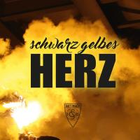 Виниловая пластинка OLDORNO / SCHWARZ GELBES HERZ (1LP)